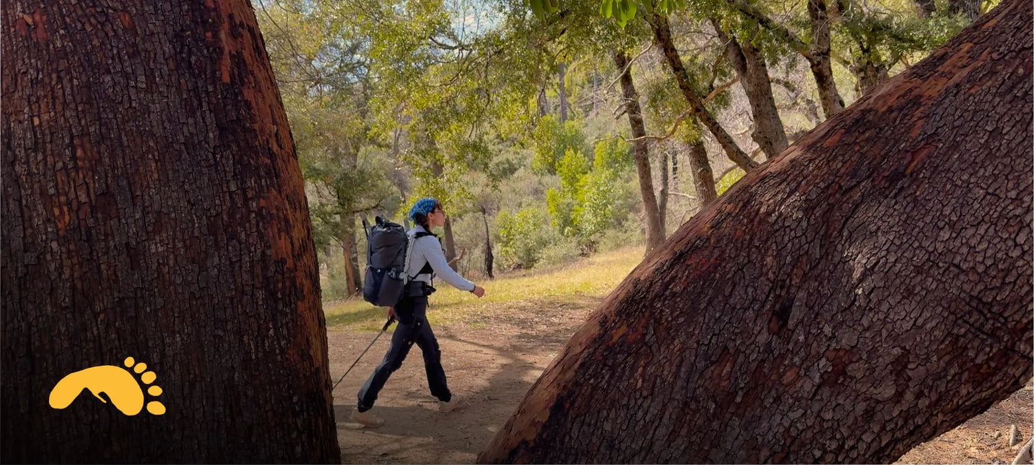 Pepper, seen between two branches of a Madrone Tree, hiking.
