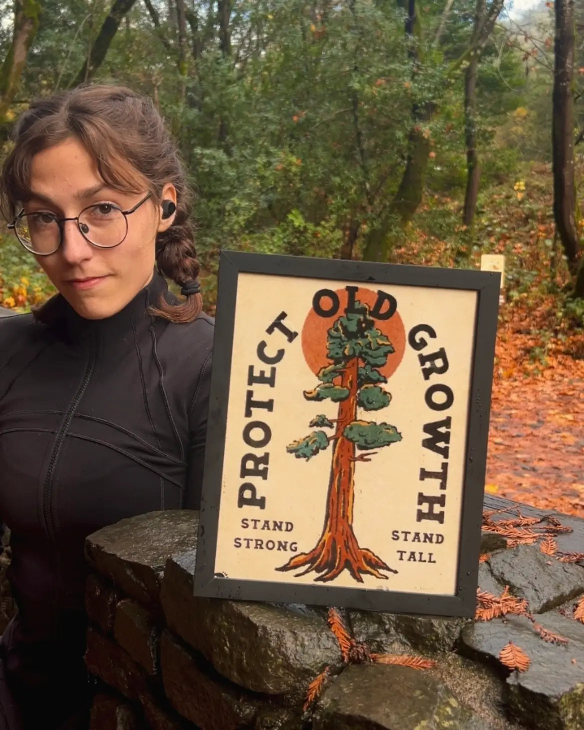 Print of a redwood tree that says protect old growth, taken in a forest setting
