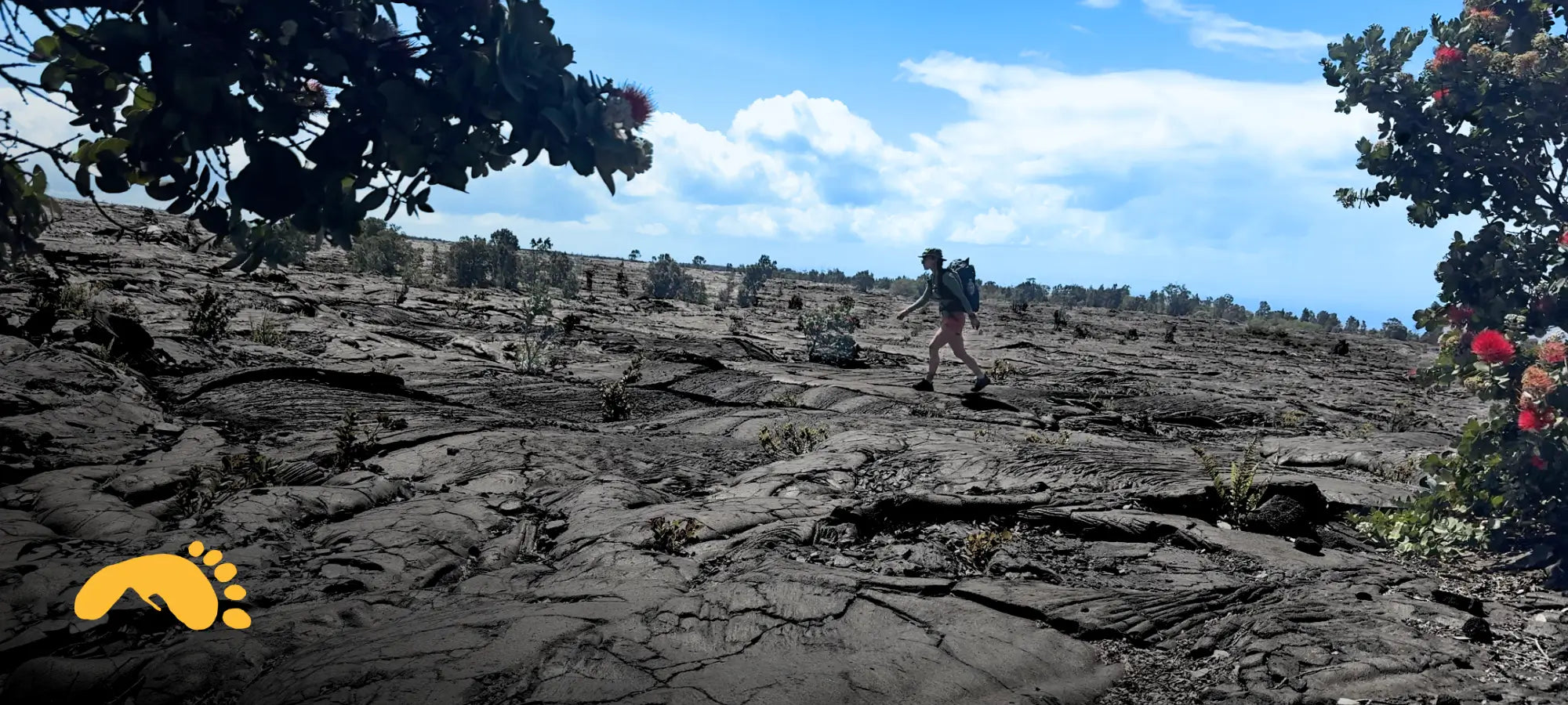 Pepper, hiking across a lava field in Hawai'i Volcanoes National Park.