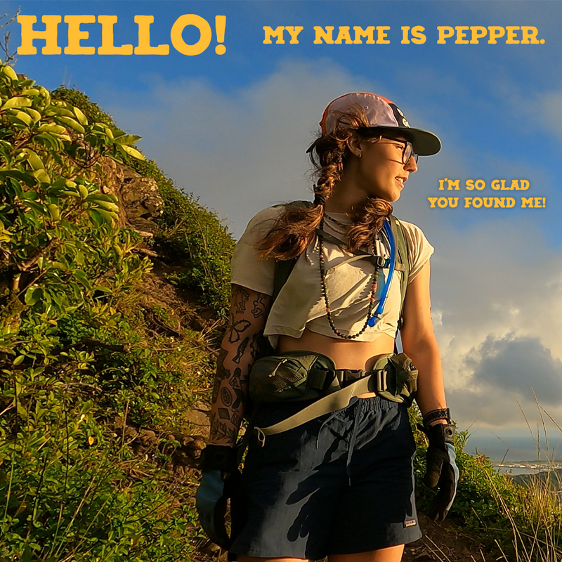 About Pepper Pepper Steps